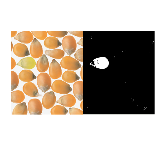 EasyColor - Image 2